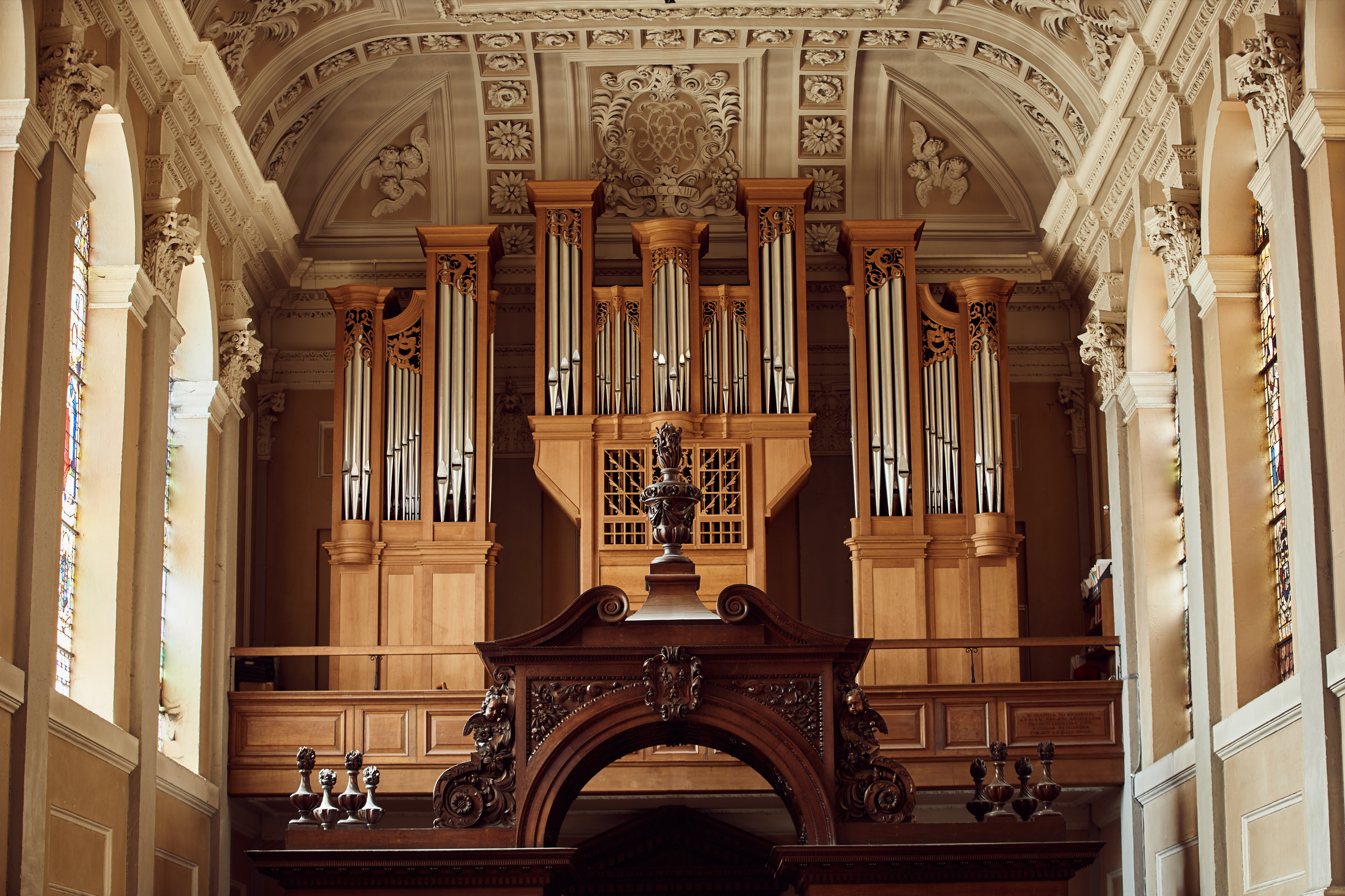 Frobenius organ