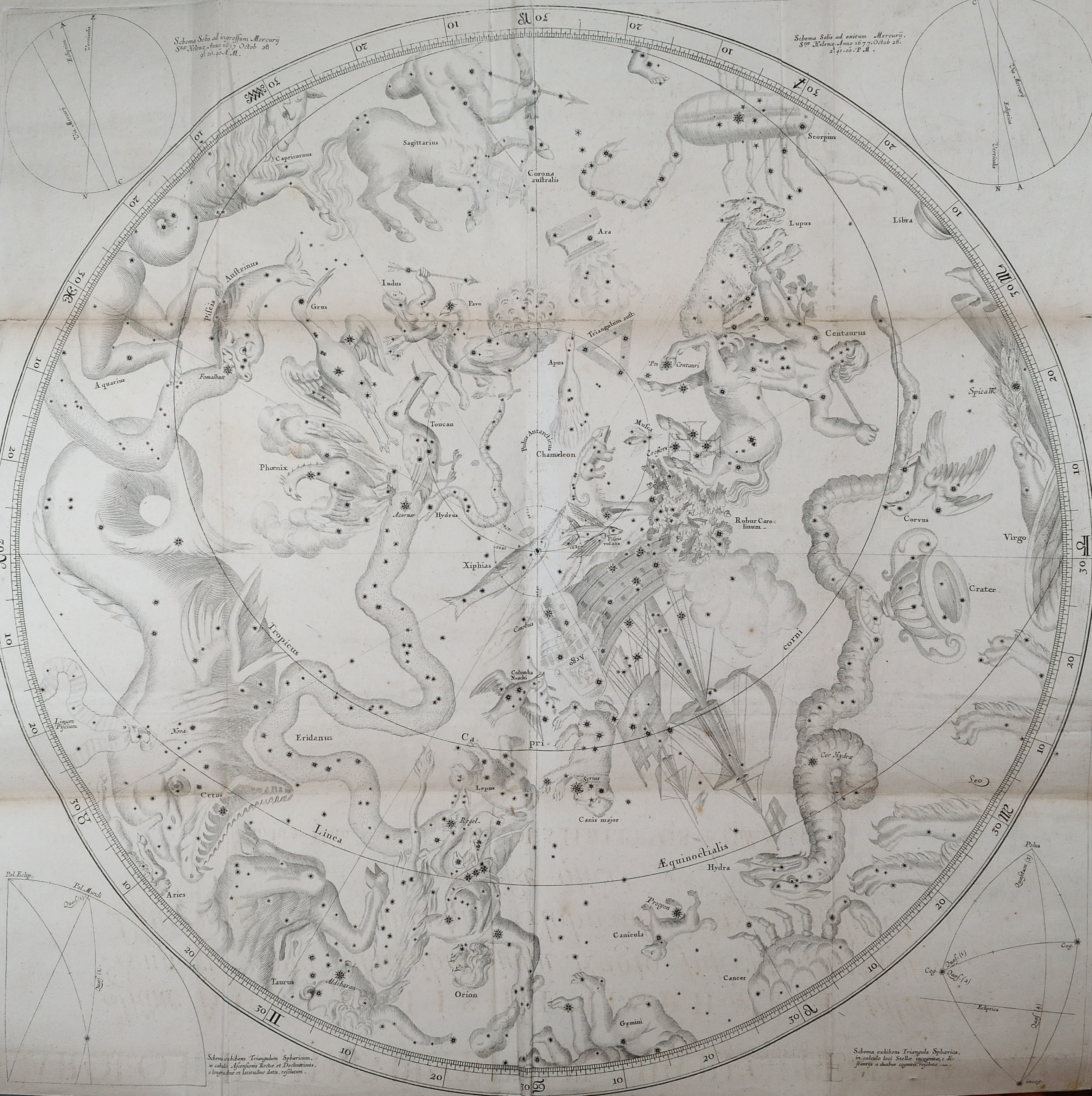 Photograph of a large engraved star map illustration by Edmund Halley. Among the illustrated constellations is ‘Robus Carolinum’ (Charles’ Oak), a now unrecognised constellation Halley dedicated to King Charles II.