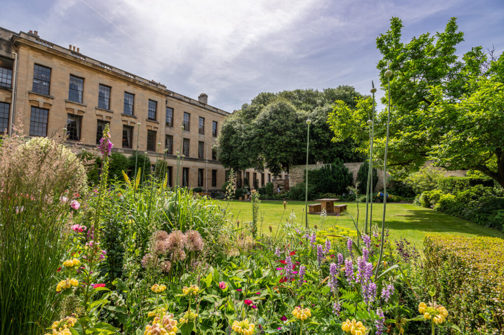 summer flowers in the Fellows' Garden