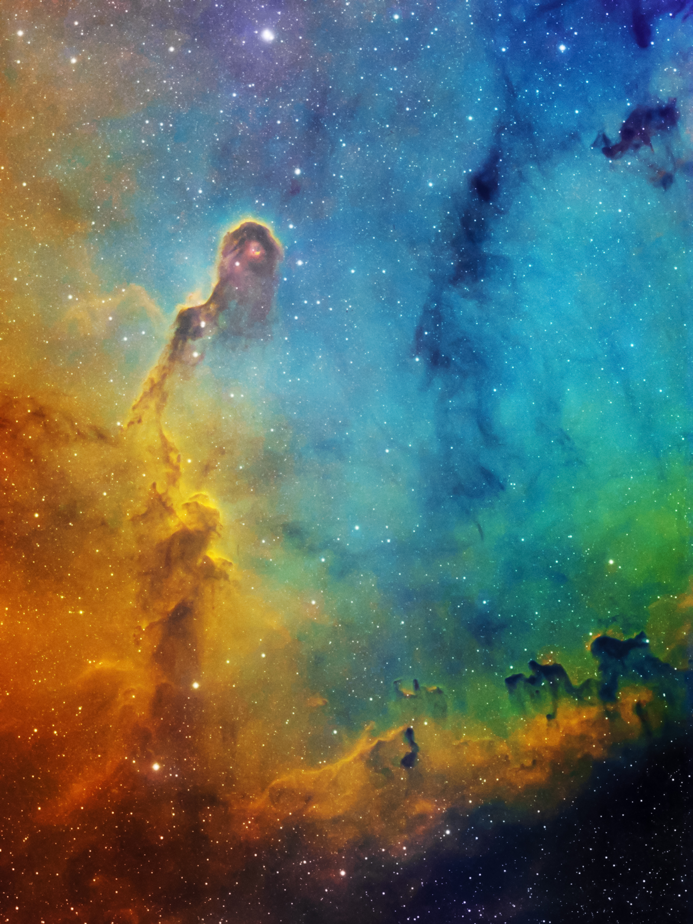 The Elephant's Trunk Nebula (IC 1396) in the constellation Cepheus, HST image