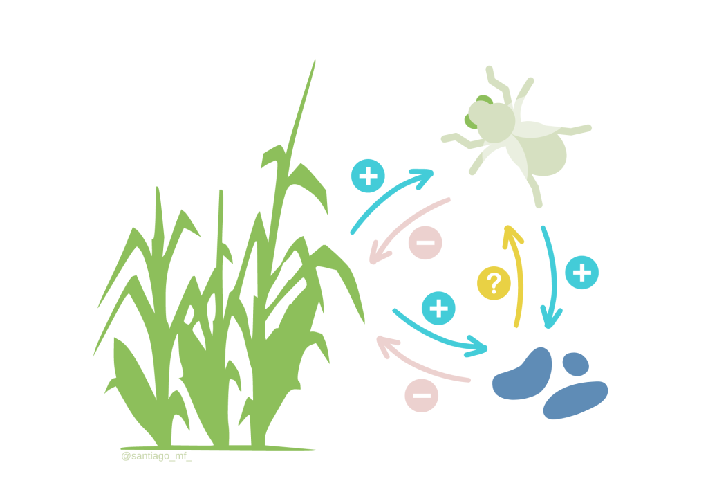 Figure depicting the relationship between plant pathogens and the insects that carry them