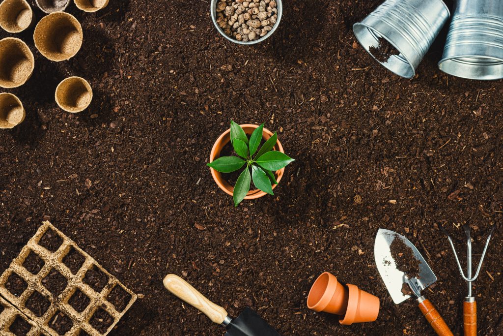 Gardening tools on fertile soil texture background seen from above top view. Flat lay gardening or planting concept. Working in the spring garden