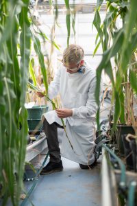 Prof Steve Kelly kneeling down to examine a plant