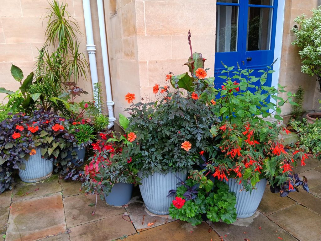 Seasonal pot display outside Provost's Lodgings