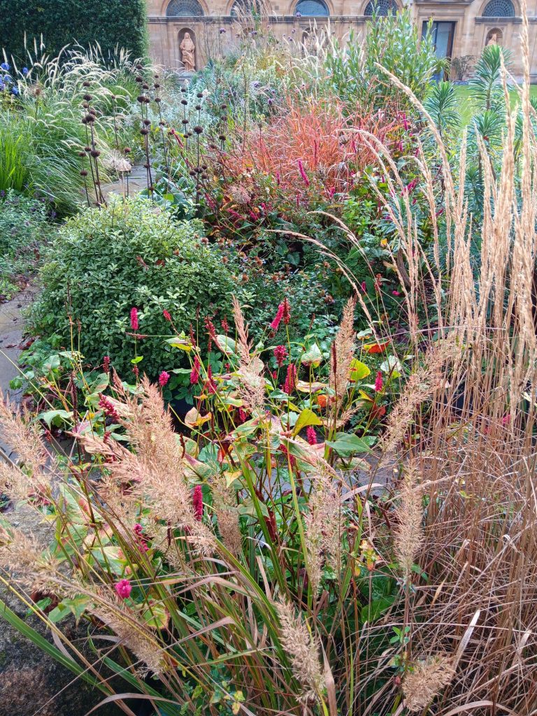 photo of Provost's garden border full of grasses and seedheads including Allium and Phlomis