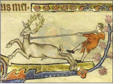 detail of a reindeer from a Medieval manuscript
