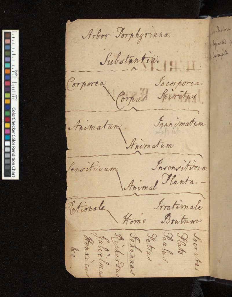 A page from Bentham's manuscript showing the Porphyrian tree