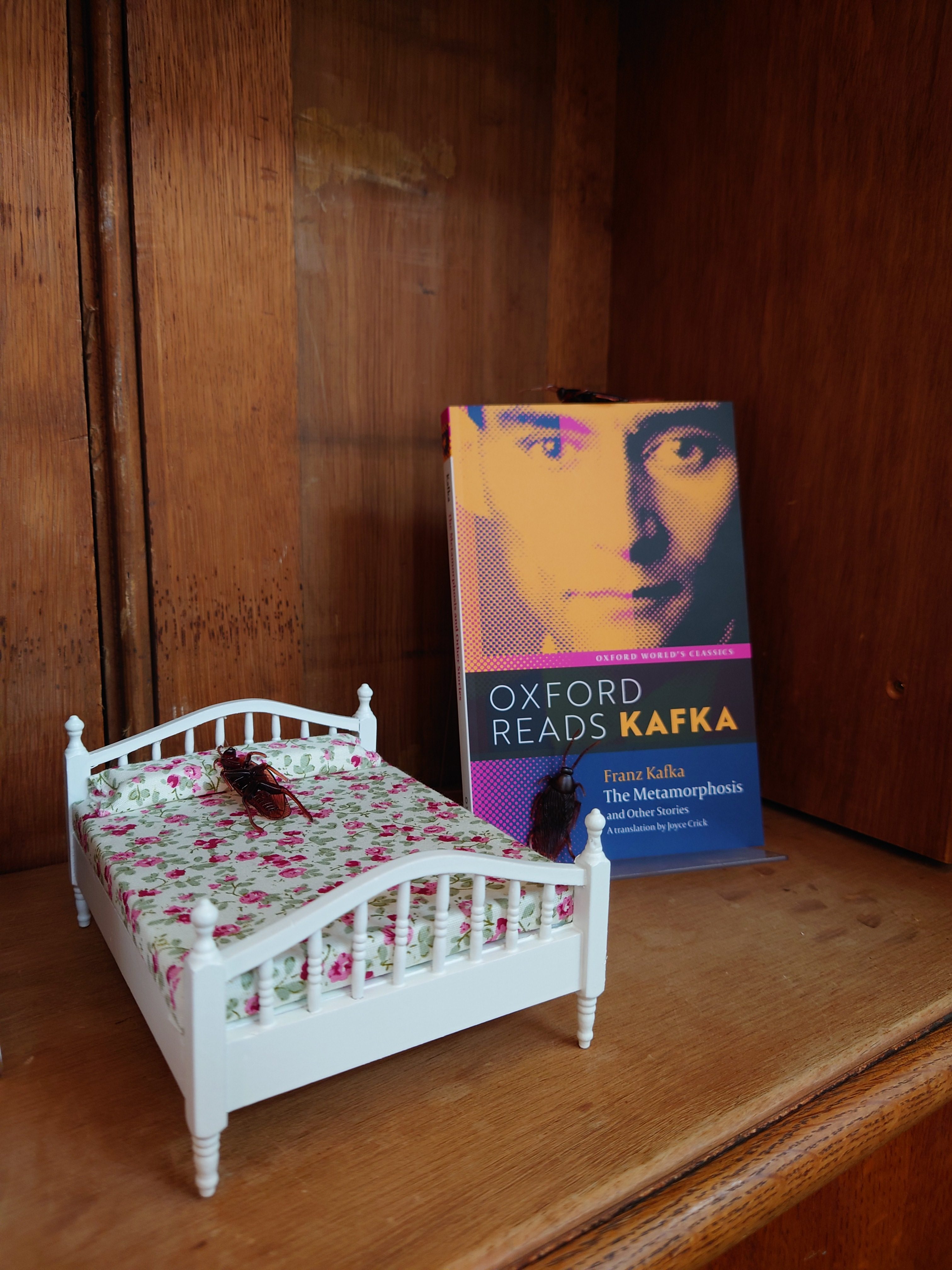 A display in the library with a miniature bed with a bug on top next to a copy of Franz Kafka's book Metamorphosis