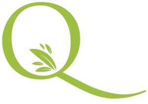 green letter Q with a leaf drawing on the inside of the circle shape