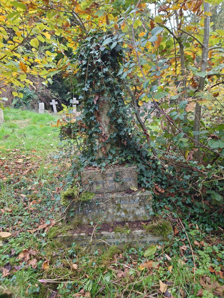 Cuthbert Shields' grave covered in ivy