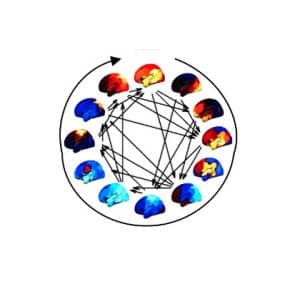 The spatiospectral characteristics of functional brain networks embedded in their cyclical progression. Each brain map shows the percentage increase in power (for visualization purposes, this is shown relative to the mean over states), projected on to the left hemisphere