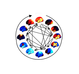 The spatiospectral characteristics of functional brain networks embedded in their cyclical progression. Each brain map shows the percentage increase in power (for visualization purposes, this is shown relative to the mean over states), projected on to the left hemisphere