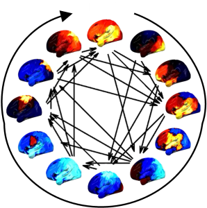 The spatiospectral characteristics of functional brain networks embedded in their cyclical progression. Each brain map shows the percentage increase in power (for visualization purposes, this is shown relative to the mean over states), projected on to the left hemisphere
