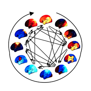 The distribution of activity in twelve functional brain networks embedded in their cyclical progression. Each brain map shows the relative increase (reds/yellows) or decrease (blues) in activity projected on to the left hemisphere. Each arrow indicates a preferred trajectory between networks.