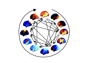 The distribution of activity in twelve functional brain networks embedded in their cyclical progression. Each brain map shows the relative increase (reds/yellows) or decrease (blues) in activity projected on to the left hemisphere. Each arrow indicates a preferred trajectory between networks.