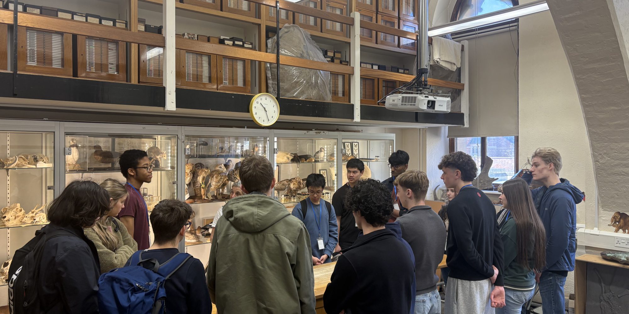 A group of school pupils in Oxford's Natural History Museum. In the background you can see glass cases full of stuffed birds and animal skulls.