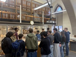 A group of school pupils in Oxford's Natural History Museum. In the background you can see glass cases full of stuffed birds and animal skulls.