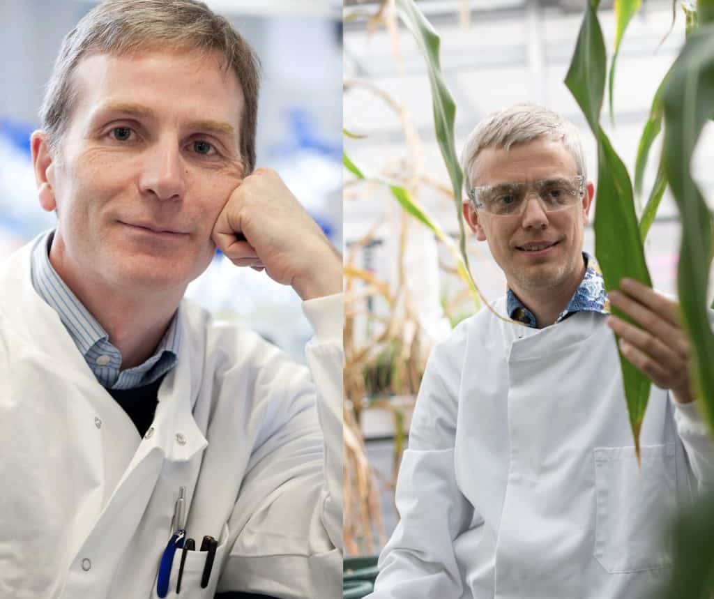 Chris O'Callaghan profile photo wearing a lab coat and Steve Kelly profile photo taken in the lab surrounded by plant samples