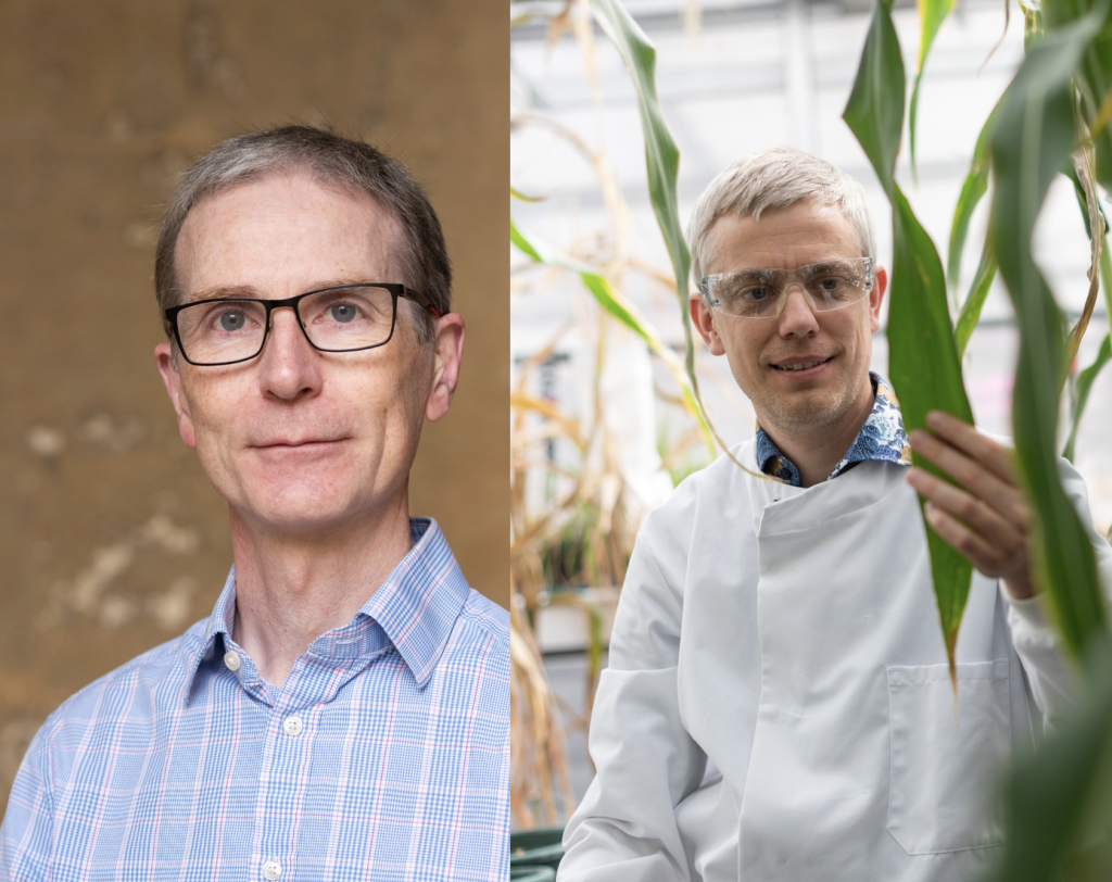 Chris O'Callaghan profile photo taken against the College stone and Steve Kelly profile photo taken in the lab surrounded by plant samples