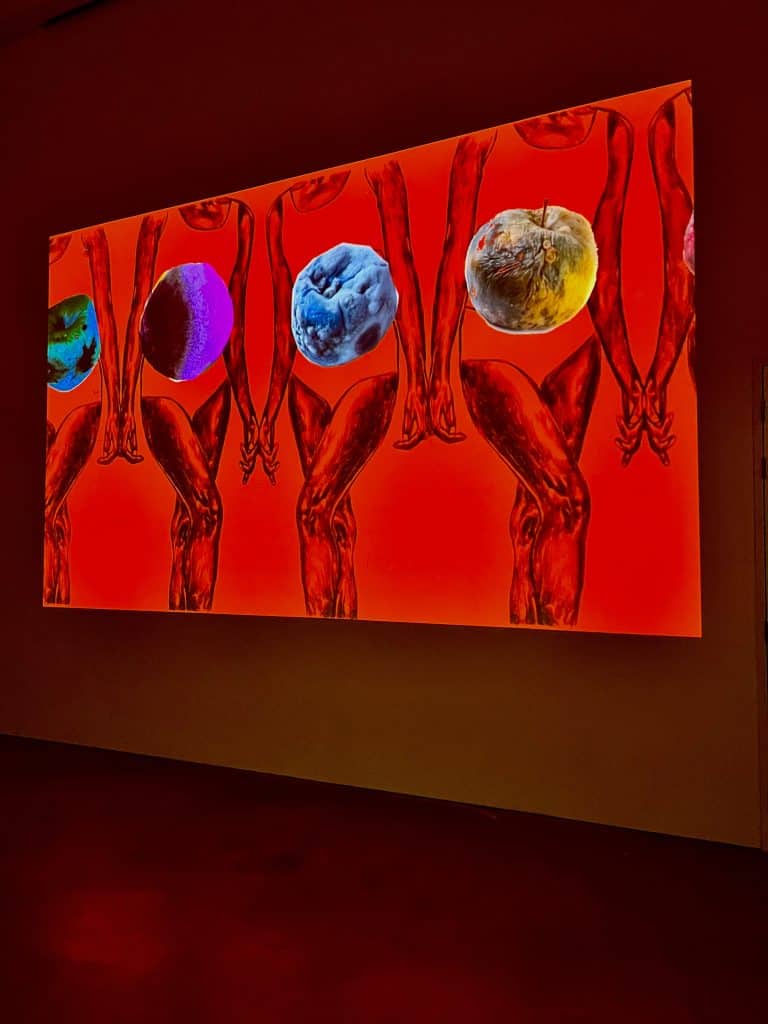 Stolen Fruits, Ripened for Harvest (frame-by-frame animation); image depicts a still from an animation. The image show has a deep red background and female bodies with no head and fruits at various stages of decay on the centre of the body